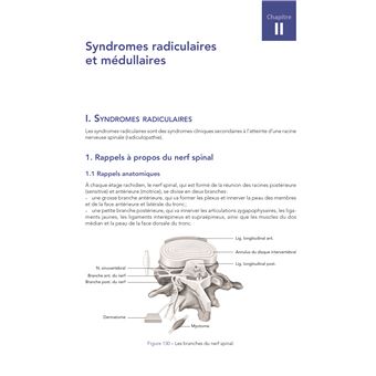 Examen clinique de l'appareil neuro-musculo-squelettique