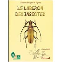 Luberon des insectes le