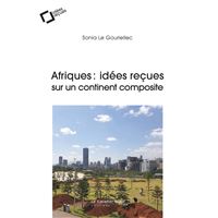 Afriques, idées reçues sur un continent composite