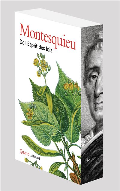 De-l-Esprit-des-lois.jpg