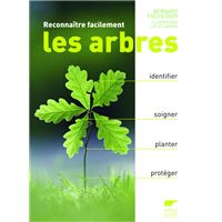 Reconnaître facilement les arbres
