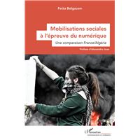 Mobilisations sociales à l’épreuve du numérique