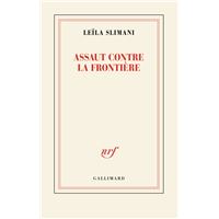 Assaut contre la frontière