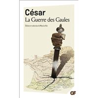 La Guerre des Gaules