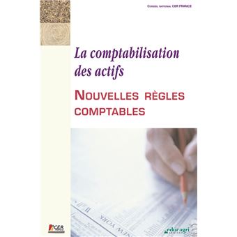 Comptabilisation Des Actifs : Nouvelles Règles Comptables (La ...