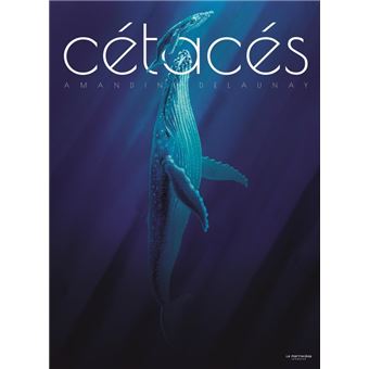 Cétacés - 1