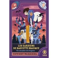Les Gardiens de baguette magique : un ciel plein de dragons