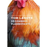 Décombres Flamboyants