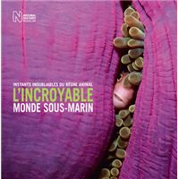 L'incroyable monde sous-marin
