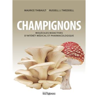 Champignons - 1