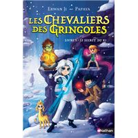 Les Chevaliers Gringoles - tome 3 Le secret du Ki