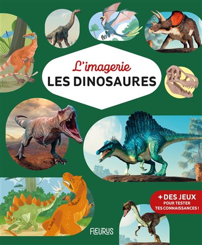 L'imagerie - Les dinosaures - Romain Amiot - Fleurus - cartonné - Document jeunesse - Fleurus