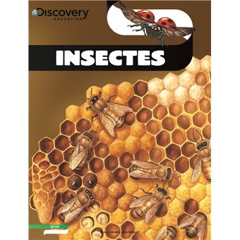 Insectes - 1