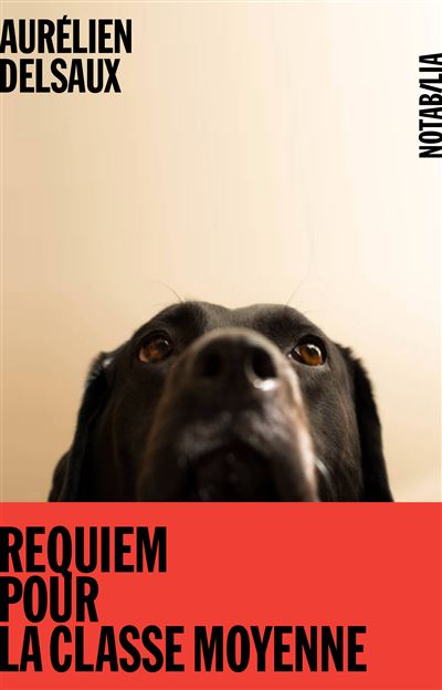 Requiem pour la classe moyenne - Aurélien Delsaux - broché