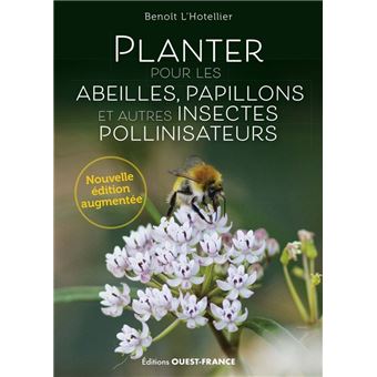 Planter pour les abeilles, papillons et autres insectes pollinisateurs