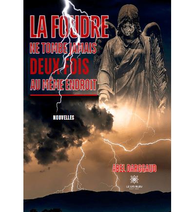 Abel Darggaud - La foudre ne tombe jamais deux fois au même endroit (2024)