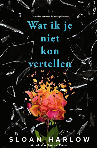 Wat ik je niet kon vertellen