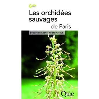 Les orchidées sauvages de paris - 1