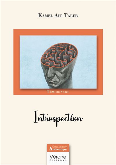 Introspection - Kamel Ait-Taleb - Verone Eds - broché - Témoignage