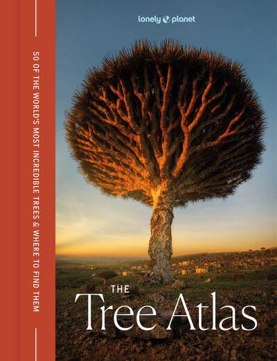 The Tree Atlas 1ed -anglais- - Lonely planet eng - Lonely Planet - relié - Beau livre - Lonely Planet