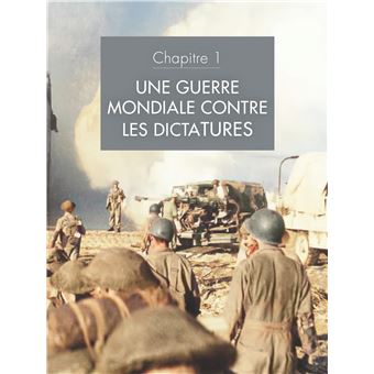 D DAY DD380 Liberation! A Saluting French Scout - Figure