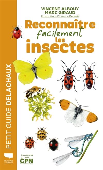 Reconnaître facilement les insectes - Vincent Albouy - Delachaux et niestlé - broché - Guide
