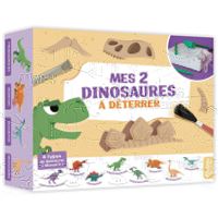 Les dinosaures - Mon coffret livre et jeux Avec 36 cartes + 4