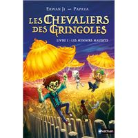 Les Chevaliers des Gringoles - tome 01 : Les menhirs maudits