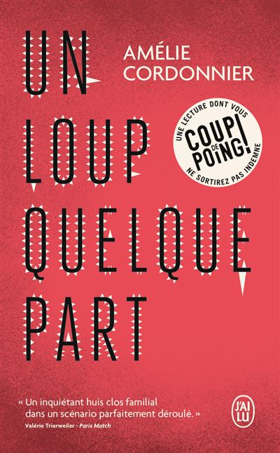 Un loup quelque part - Amélie Cordonnier - J'ai Lu - Poche - Roman