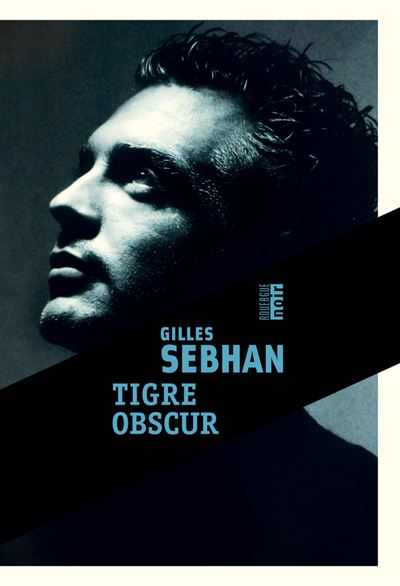 Tigre obscur - Gilles Sebhan - Rouergue - broché - Roman