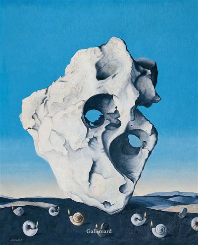 Vertige du surréalisme Art et littérature, la rencontre ininterrompue - Yves Peyré - Gallimard - relié - Beau livre - Gallimard