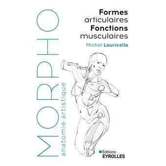 Morpho Formes articulaires, fonctions musculaires - 1