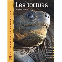 Les tortues