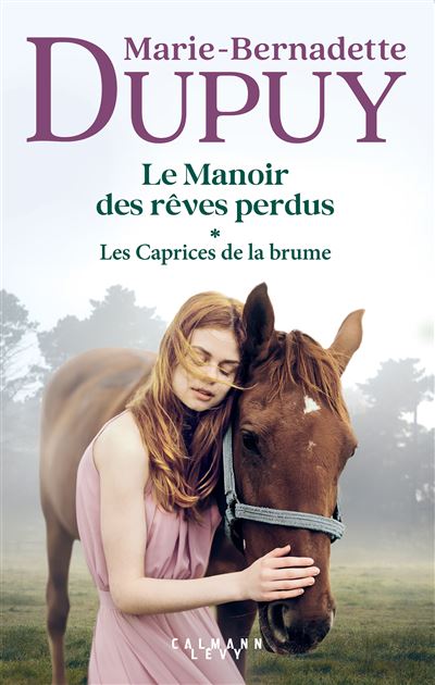 couverture de : Les Caprices de la brume