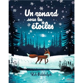 Un renard sous les étoiles