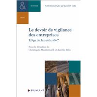 Le devoir de vigilance des entreprises - L'âge de la maturité ?