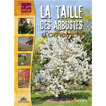 La taille des arbustes d'ornement - 1