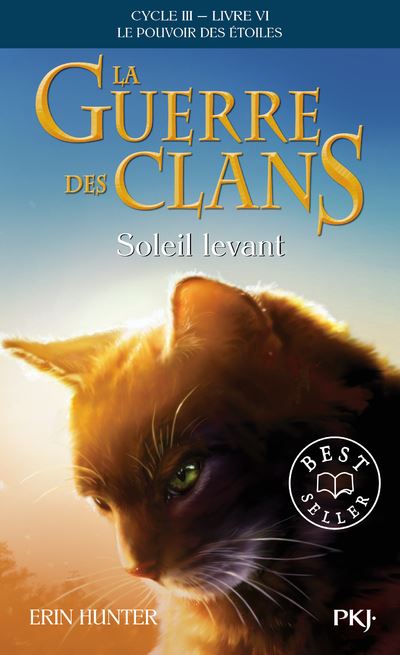 LA GUERRE DES CLANS CYCLE 3,6:SOLEIL LEVANT - Erin Hunter - Taschenbuch