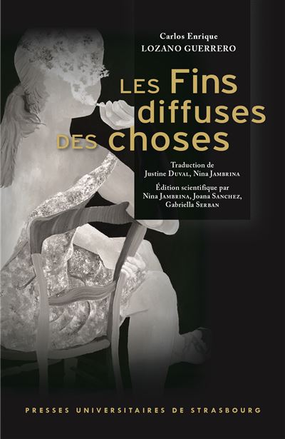 Les Fins diffuses des choses - Carlos Enrique Lozano Guerrero - broché