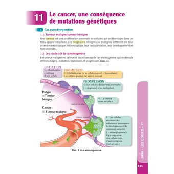 Guide Bac ST2S - Spécialité Chimie, Biologie et Physiopathologies humaines 1re/ Tle - Réflexe - N° 7