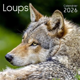 Calendrier Loups 2026 Broch Collectif Achat Livre Fnac calendrier-loups-2026-broch-collectif-achat-livre-fnac