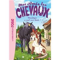 Mes Amis Les Chevaux - Tome 13 : Mes amis les chevaux 13 - Moustique a mal aux dents !