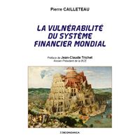 Vulnerabilite du systeme financier mondial (la)