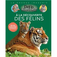 À la découverte des félins
