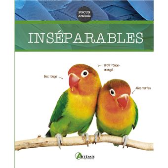 Inseparables Sticker Inséparables - relié - Collectif - Achat Livre | fnac