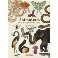 Encyclopedium - Animalium