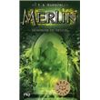 Merlin - tome 4 Le miroir du destin