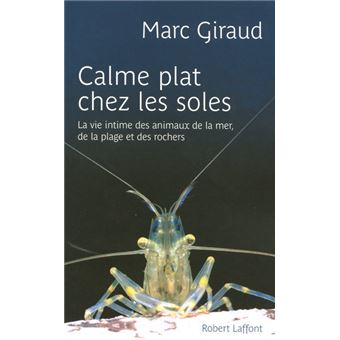 Calme plat chez les soles - 1
