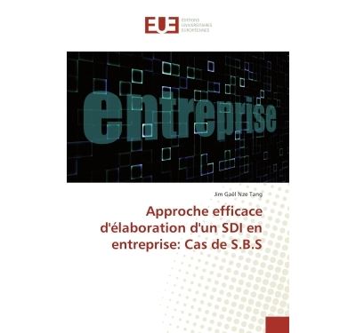 Approche efficace d'élaboration d'un SDI en entreprise: Cas de S.B.S
