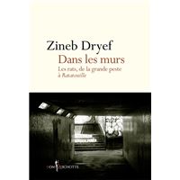 Dans les murs